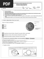 Estrutura Interna da Terra (Fácil).doc