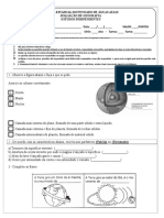 Estrutura Interna Da Terra (Fácil)