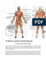 12 Sistem Anatomi Tubuh Manusia