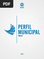 dados cidade murici-al