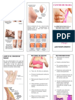 Triptico Cáncer de Mamá