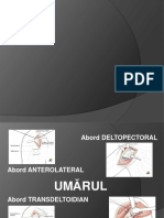 ANTEROLATERAL Shoulder Aproach