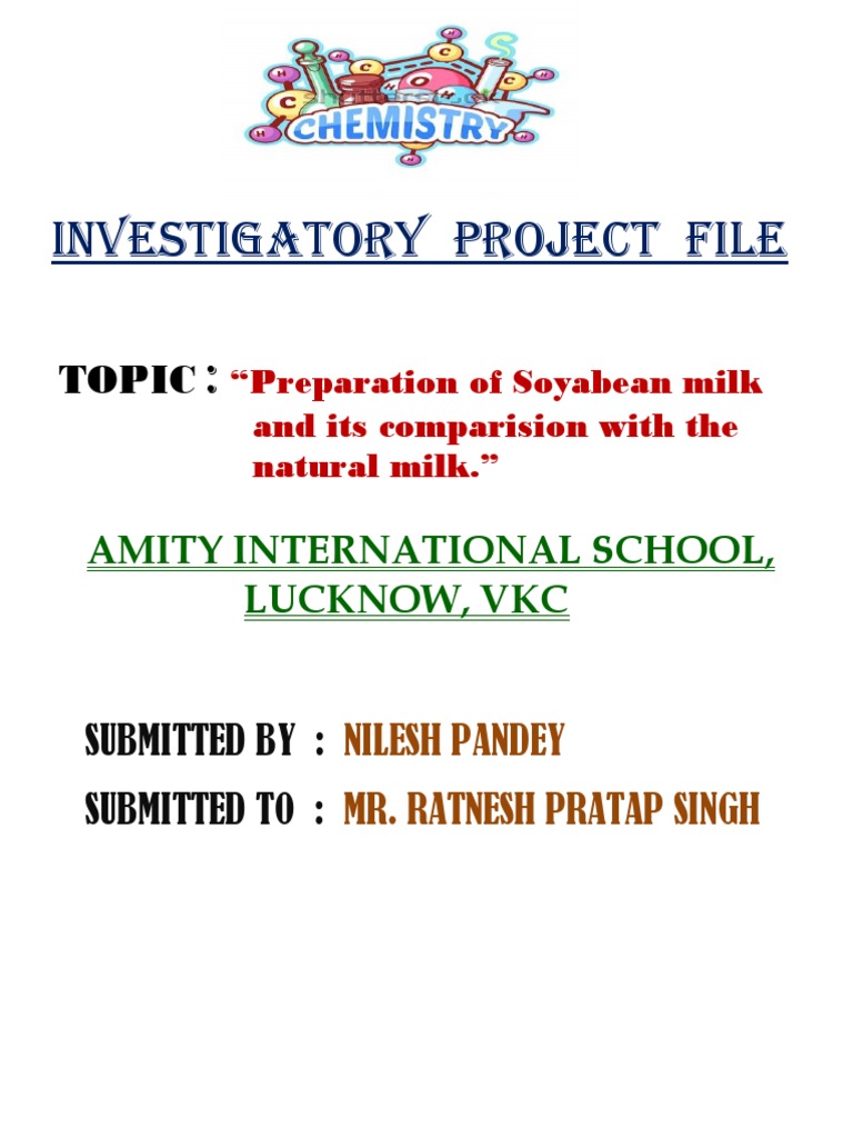 Chemistry Project File | PDF