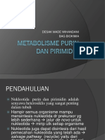 Metabolisme Purin Dan Pirimidin