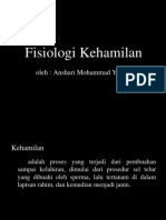 357936828-Fisiologi-Kehamilan-Ppt - PPTX Baru