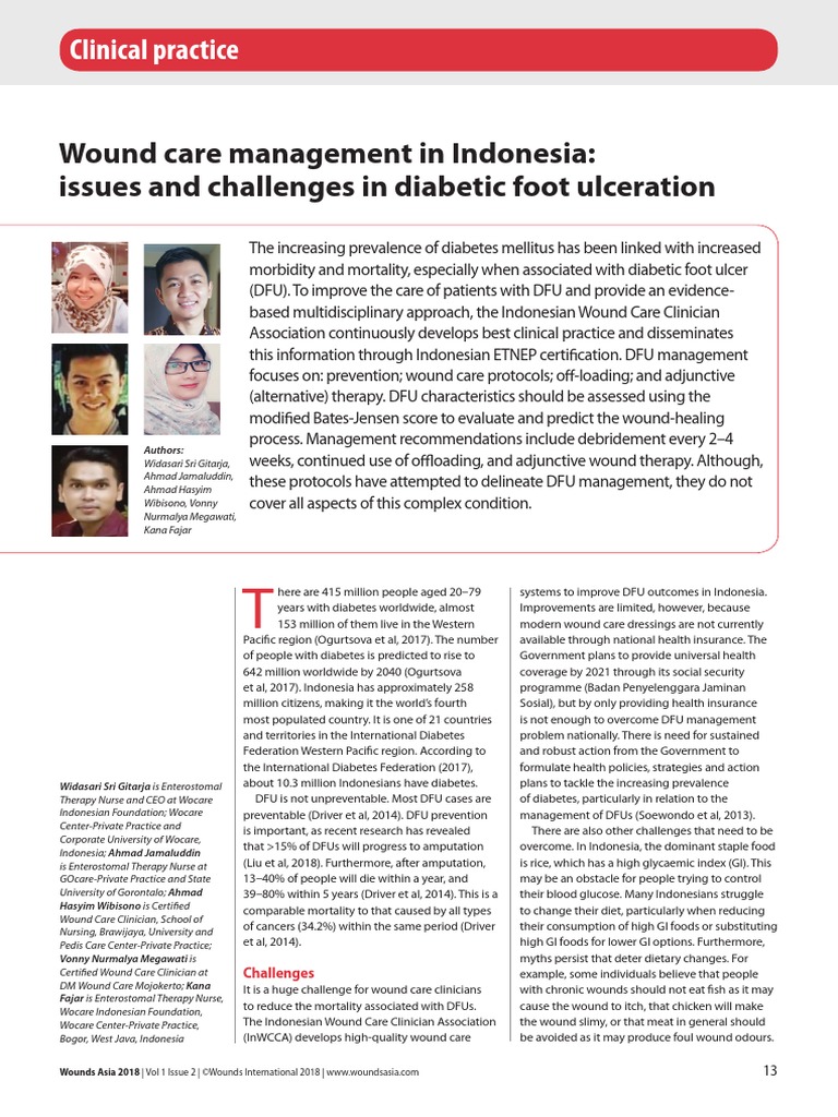 Wound Care Management in Indonesia Issues and Challenges in Diabetic