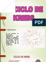 Ciclo de Krebs