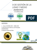 Igp Iso 9001 PDF