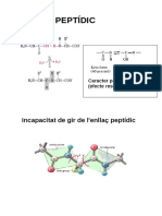 Enllaç Peptídic PDF