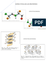 Estructura Proteïnes PDF