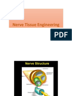 Nerve Tissue Engineering
