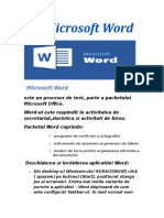 Microsoft Word