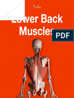 15h The-Lower-Back-Muscles-eBook.pdf