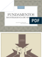 Fundamentos bi.pdf