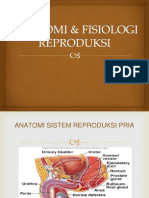 Anatomi & Fisiologi Reproduksi