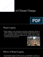 Illegal Logging's Devastating Impact on Forests and Climate Change