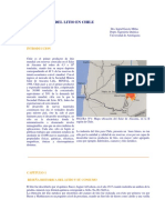 litio y derivados.pdf