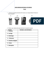 Prueba Validacion 6to Básico Ciencias Naturales