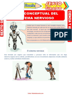 Mapa Conceptual Del Sistema Nervioso para Sexto Grado de Primaria