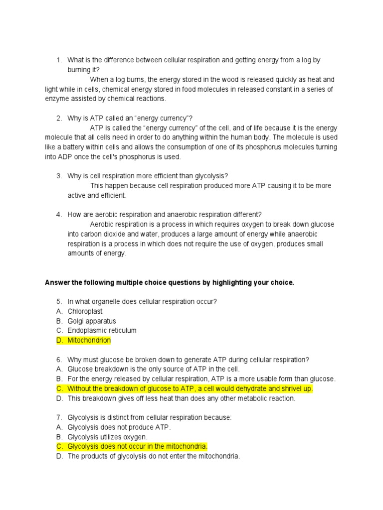 Ruangrat Natthanicha Cell Respiration Review Pdf