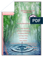 Hidrologia Final Corregido PDF