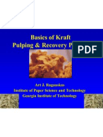 Kraft Pulping and Recovery Process Basics