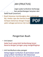 Buahfructus 140302000106 Phpapp02 PDF