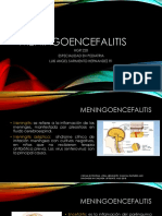 MENINGOENCEFALITIS