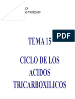 BQ15 Ciclo Krebs PDF