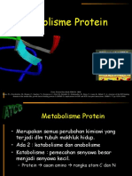 Metabolisme Protein-1