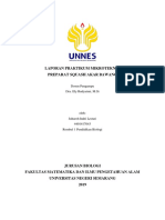 Juharoh Indri Lestari - 4401417043 - Pendidikan Biologi 1 2017 - Laporan Praktikum Preparat Squash Akar Bawang