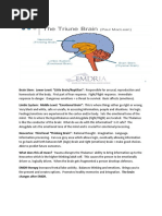 3 Levels of The Brain (EMDR)