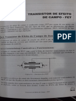 Fet Liv PDF