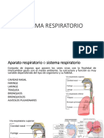 Sistema Respiratorio y Circulatorio