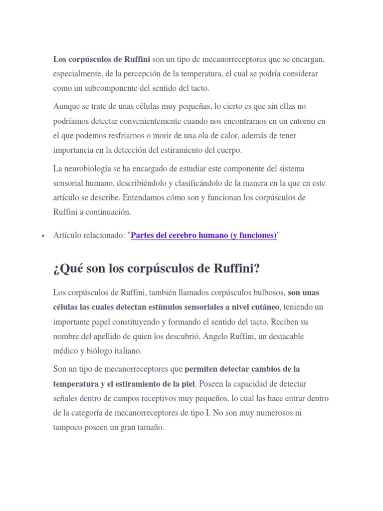 Función de los corpúsculos de Ruffini | PDF | Piel | Axon