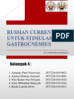 Russian Current Otot Gastrocnemius