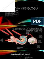 Anatomofisiologio Internado.pptx
