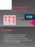 Benign Prostat Hiperplasia