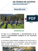 Desarrollo Local