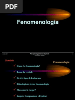 fenomenologia_1_14