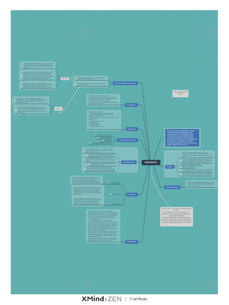 Spider Web | PDF