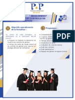 Flyer Audit Et Controle de Gestion