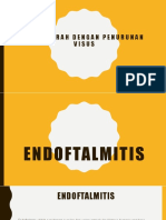 Endo Panoftalmitis