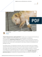 REMEDIOS caseros para el PARVOVIRUS canino - ¡EFECTIVOS!.pdf