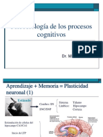 Psicobiología de Los Procesos Cognitivos