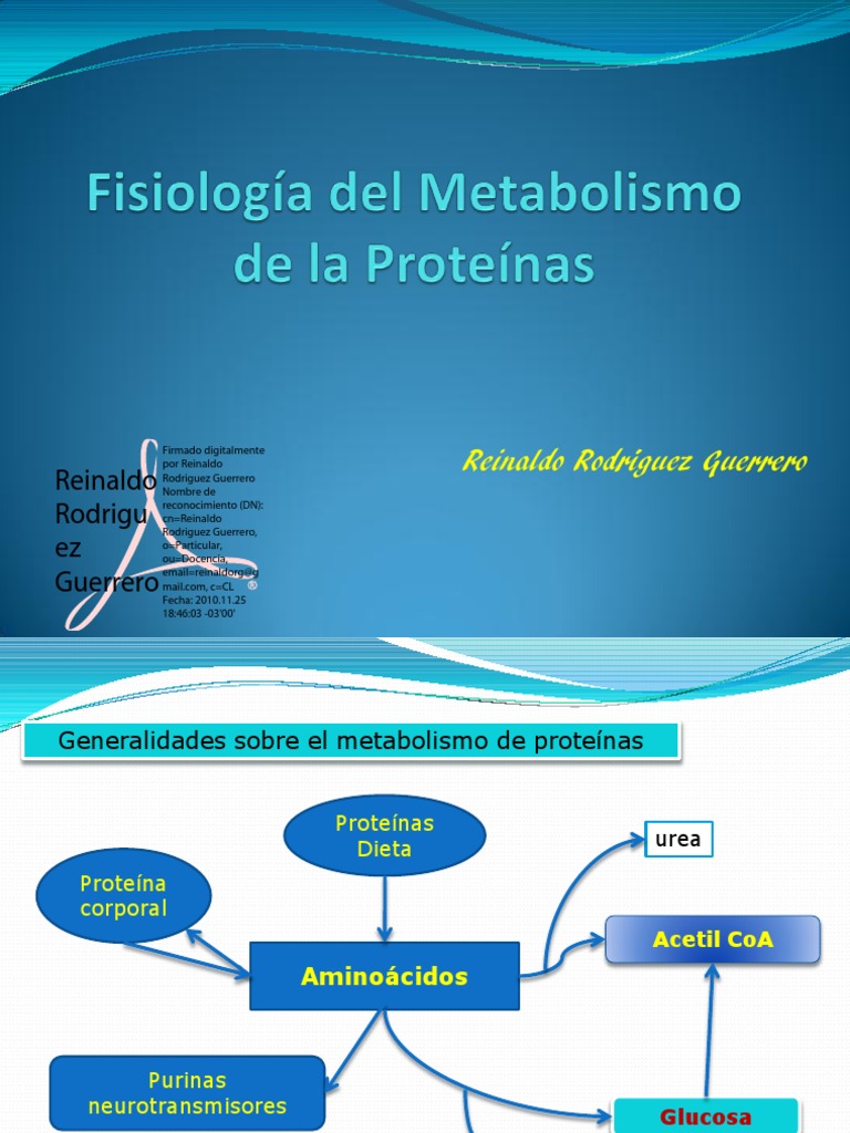 Fisiología Del Metabolismo de La Proteínas