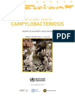 The Global View of Campylobacteriosis