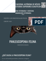 PANLEUCOPENIA