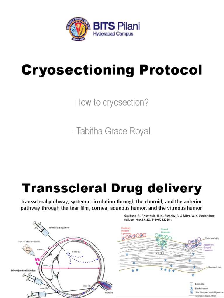 Cryosectioning Protocol | PDF | Fixation (Histology) | Chemistry