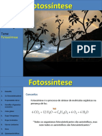fotossintese quimiossintese